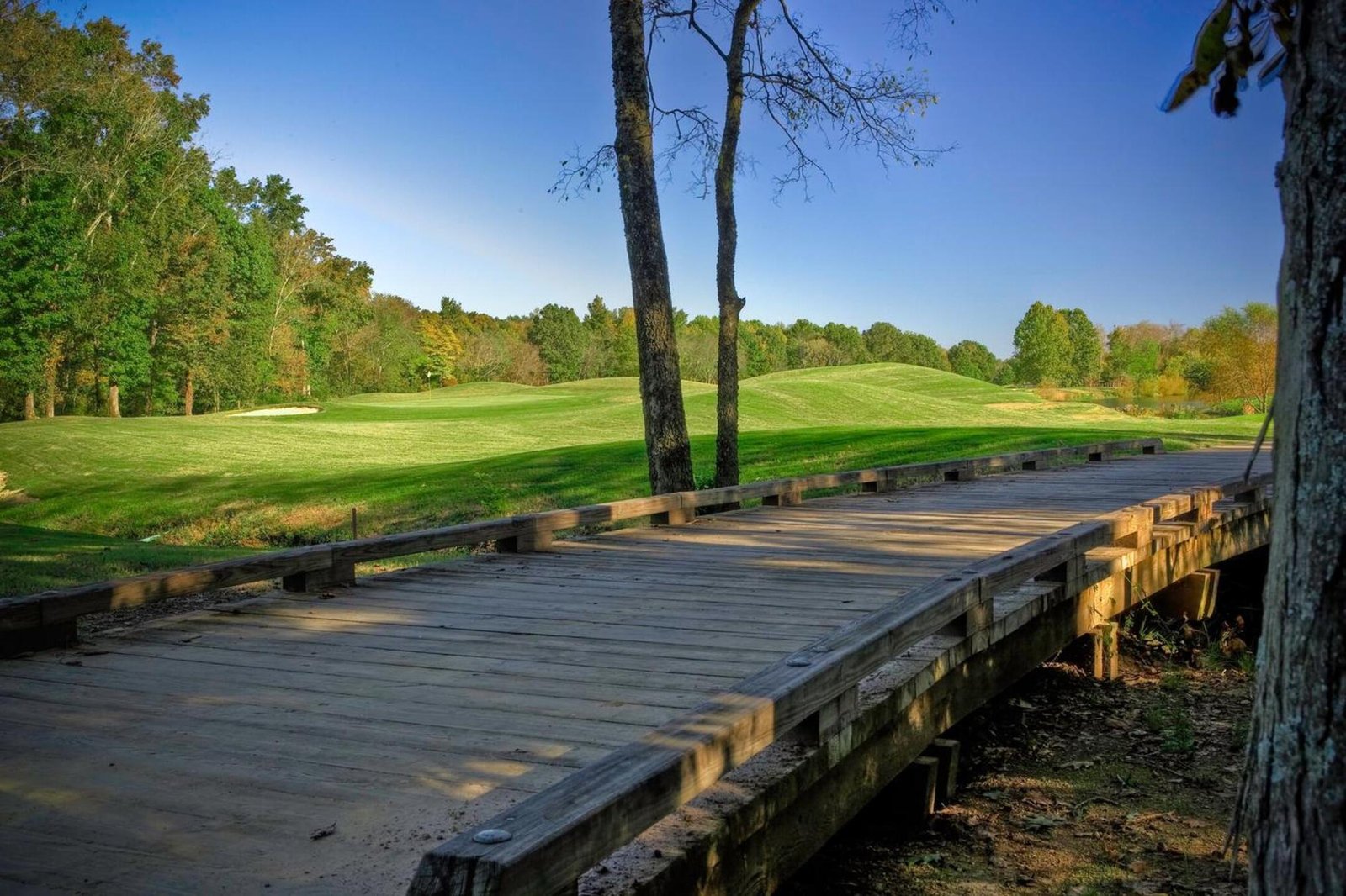 “Neighborhood amenities Athens Alabama”